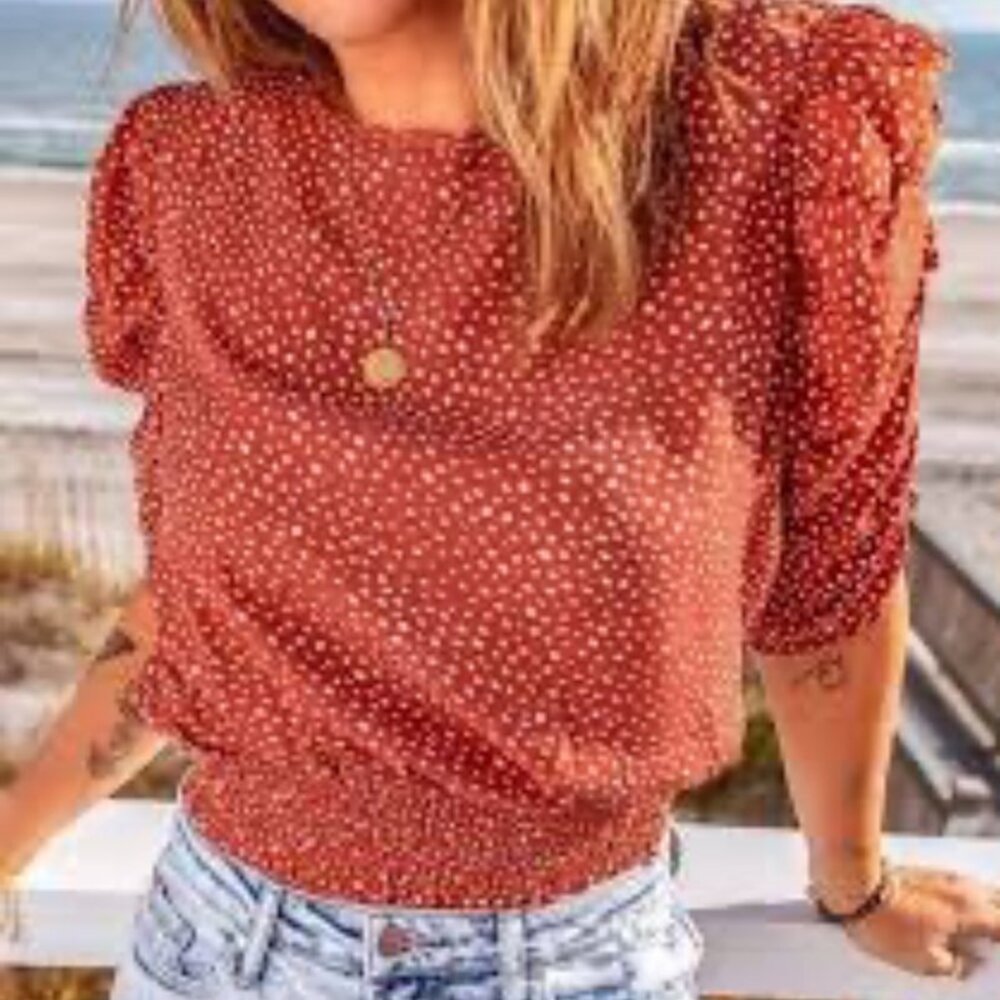 Paper Crane Rust Red Dot Print Puff Sleeve Blouse